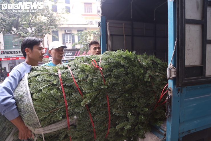 Thông tươi nhập khẩu được vận chuyển bằng xe tải tới tận tay khách hàng.