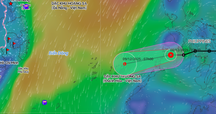Áp thấp nhiệt đới đã suy yếu thành vùng áp thấp. Ảnh: Hệ thống giám sát thiên tai Việt Nam