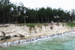 Cận cảnh bờ biển bị sóng dữ xé toạc, đe dọa 'nuốt' hàng loạt công trình