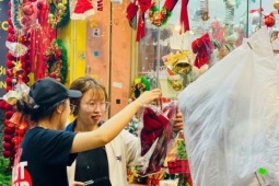 Thông tươi giá rẻ được chị em ‘săn đón’ trang trí dịp Giáng sinh 2025