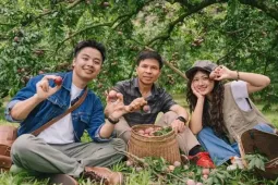 5 trải nghiệm thu hoạch nông sản theo mùa hút du khách