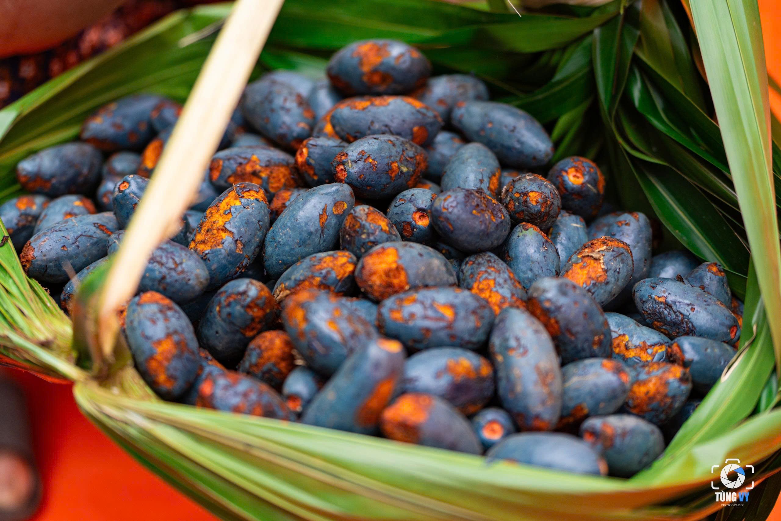 Thứ quả đen sì mọc đầy đồi núi Phú Thọ, đến mùa thành đặc sản gây nghiện - 5