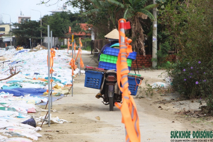 Cả làng chạy đua với thời gian, giành từng mét đất trước 'hà bá' - 4