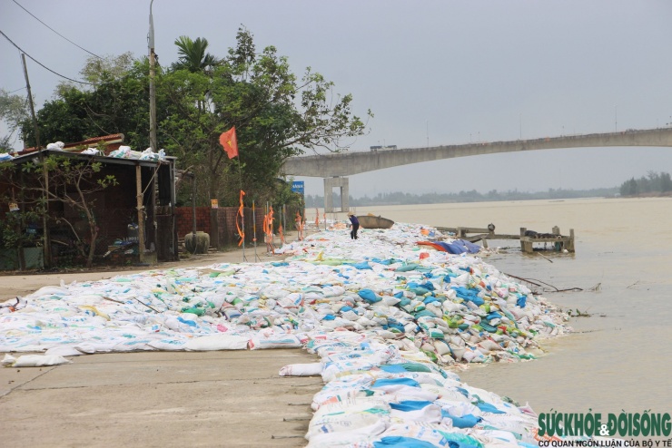 Cả làng chạy đua với thời gian, giành từng mét đất trước 'hà bá' - 5