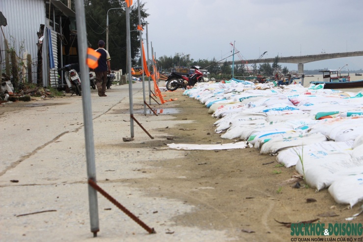 Cả làng chạy đua với thời gian, giành từng mét đất trước 'hà bá' - 7