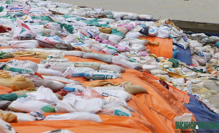 Cả làng chạy đua với thời gian, giành từng mét đất trước 'hà bá' - 9