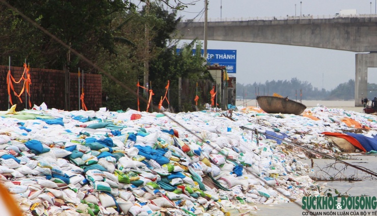 Cả làng chạy đua với thời gian, giành từng mét đất trước 'hà bá' - 11