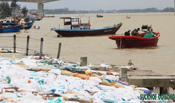 Cả làng chạy đua với thời gian, giành từng mét đất trước 'hà bá' - 13