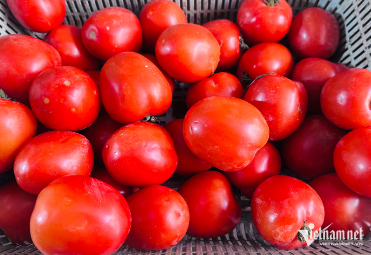 Giá cà chua ở chợ Hà Nội tiếp tục tăng mạnh. Ảnh: Tâm An