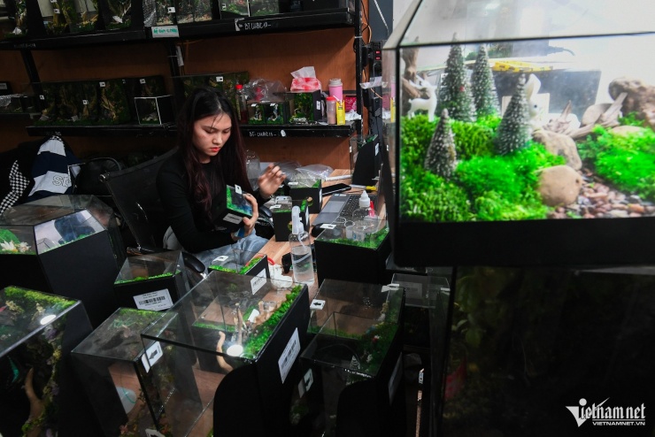 Nhu cầu quà tặng trong mỗi dịp lễ, tết luôn tăng mạnh. Hiện cơ sở của anh Trường đã gặp những lúc "vỡ trận" do cung ứng nguyên liệu không đủ đáp ứng nhu cầu của khách. Trung bình mỗi ngày có hàng trăm đơn ở cả trong và ngoài nước.