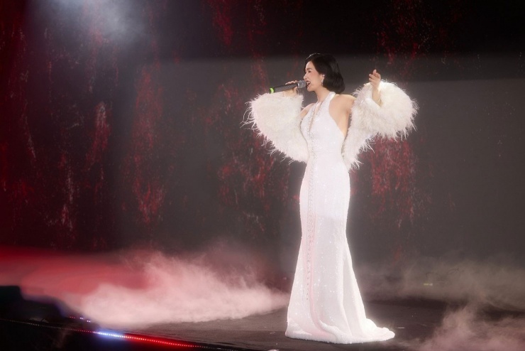 Ca sĩ Võ Hạ Trâm.