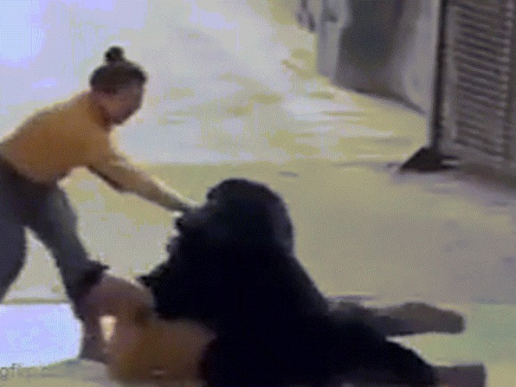 Gấu điên cuồng tấn công người chăm sóc vì ngửi thấy đồ ăn