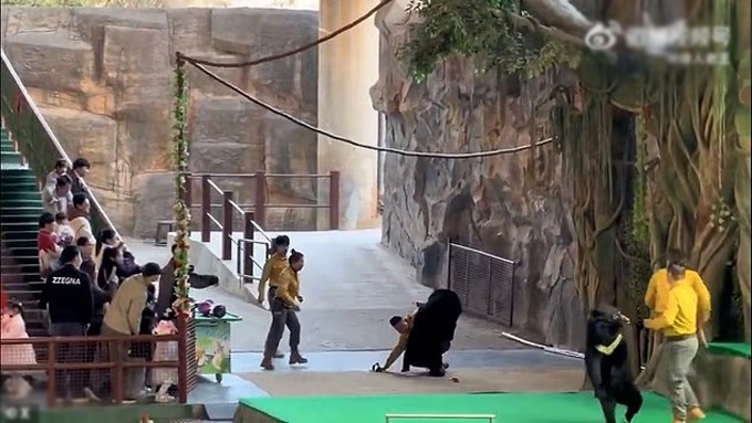 Vụ việc xảy ra trước mặt nhiều du khách ở công viên Hàng Châu Safari. Ảnh: X