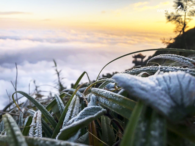 Cuối tháng 12 có khả năng xuất hiện băng giá, mưa tuyết vùng núi - 1