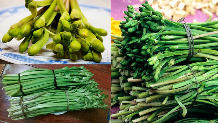 Loài rau dại mọc bờ mương hoá "mỏ tiền", là đặc sản lạ được săn tìm - 4