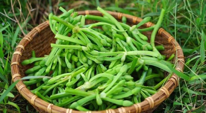 Đặc sản này hiện được dân phố ưa chuộng.