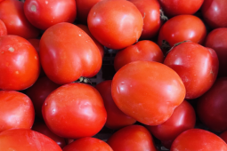 Ngỡ ngàng với cà chua ở chợ Hà Nội: Vọt lên 85.000 đồng/kg vẫn ‘cháy hàng’