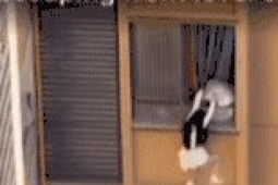 Vợ bất ngờ trở về, chồng đẩy nhân tình ra ngoài cửa sổ tầng 10 để chạy trốn