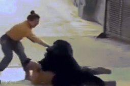 Bạn trẻ - Cuộc sống - Gấu điên cuồng tấn công người chăm sóc vì ngửi thấy đồ ăn