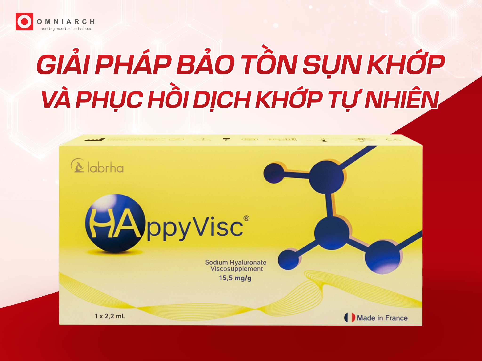 HappyVisc: Giải pháp bảo tồn sụn khớp và phục hồi dịch khớp tự nhiên - 1