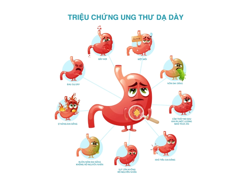 Ung thư dạ dày thường phát triển âm thầm với những dấu hiệu như đau bụng nhẹ hoặc khó tiêu kéo dài, ợ chua, cảm giác đầy hơi sau khi ăn,...
