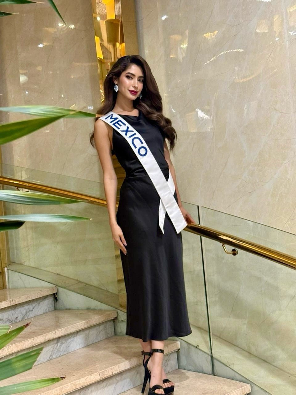 Hệ lụy từ vụ diễn viên Lâm Thái ăn trộm túi của Hoa hậu Mexico - 1