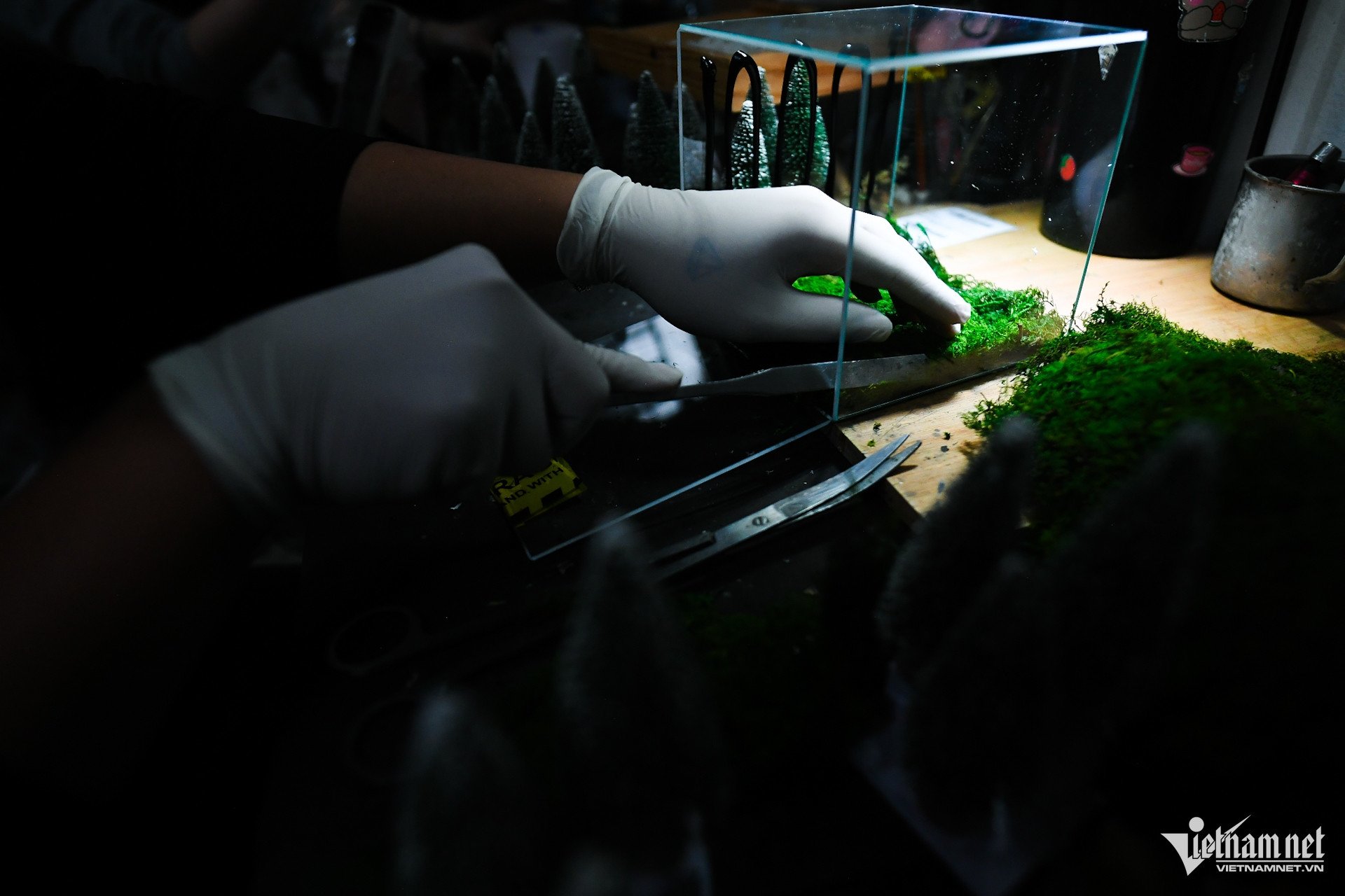 Terrarium là các bồn cây cảnh thủy tinh, bên trong chứa một hệ sinh thái thu nhỏ gồm đất, cây trồng, cát sỏi, nước... có thể thêm một số động vật sống. Mô hình này tạo ra một hệ sinh thái thu nhỏ mô phỏng môi trường tự nhiên: rừng nhiệt đới, sa mạc, kết hợp đất, đá, cây, rêu, nước, tạo thành một thế giới mini độc đáo.