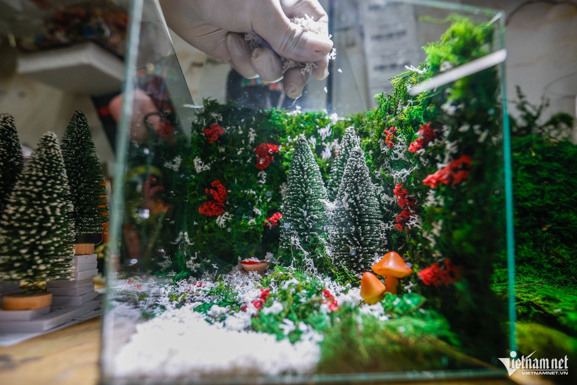 Anh Nguyễn Quốc Trường cho biết, khác với terrarium truyền thống, bể thủy tinh của cơ sở làm ra sẽ không cần tưới nước, không cần đất trồng hay ánh sáng. "Các sản phẩm sử dụng một dòng rêu bảo tồn riêng là rêu thật từ thiên nhiên. Sau khi khai thác, chọn lọc và trải qua quá trình xử lý đặc biệt, sản phẩm&nbsp;có thể 'đóng băng' ở trạng thái tươi mới như thật", anh nói.