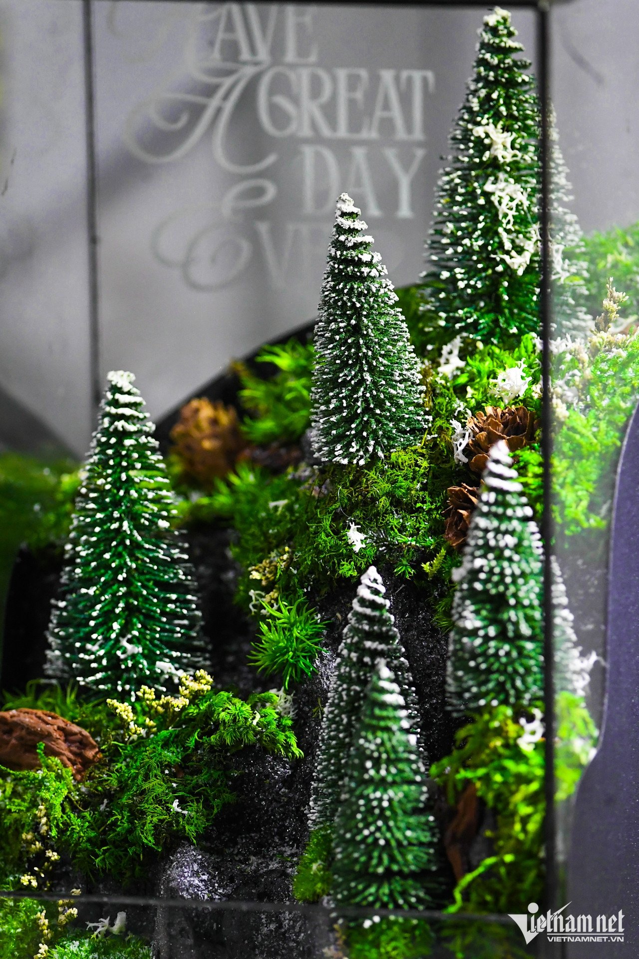 Anh Nguyễn Quốc Trường cho biết, khác với terrarium truyền thống, bể thủy tinh của cơ sở làm ra sẽ không cần tưới nước, không cần đất trồng hay ánh sáng. "Các sản phẩm sử dụng một dòng rêu bảo tồn riêng là rêu thật từ thiên nhiên. Sau khi khai thác, chọn lọc và trải qua quá trình xử lý đặc biệt, sản phẩm&nbsp;có thể 'đóng băng' ở trạng thái tươi mới như thật", anh nói.