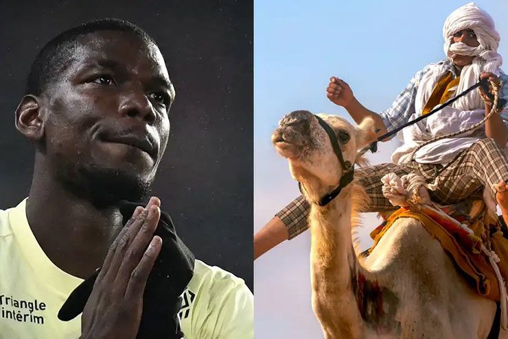 Tin mới nhất bóng đá tối 10/12: Pogba đầu tư vào đội đua lạc đà