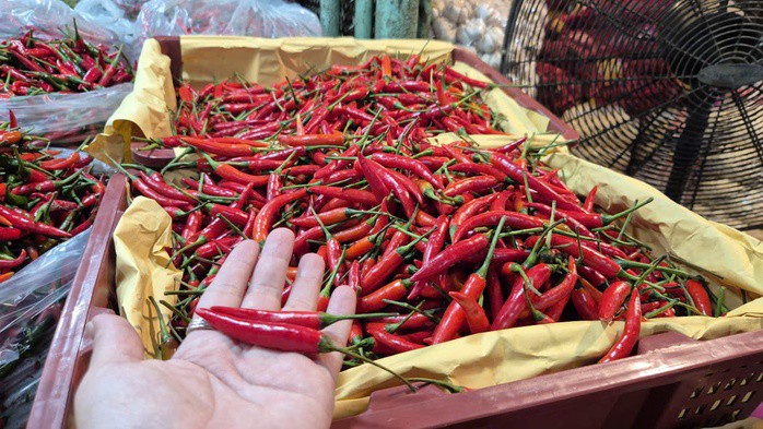 Ớt tươi Trung Quốc ở chợ đầu mối Thủ Đức - TP HCM