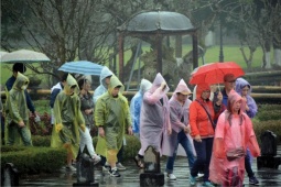 Tin mới về vùng áp thấp trên Biển Đông