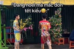 Bạn trẻ - Cuộc sống - Trào lưu Noel "trộn" Tết hài hước: Từ cây thông mọc hoa mai đến âm nhạc "2 trong 1"
