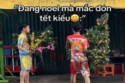 Trào lưu Noel "trộn" Tết hài hước: Từ cây thông mọc hoa mai đến âm nhạc "2 trong 1"