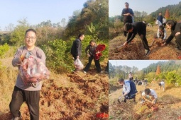 Bỏ 36.000đ mua “buffet đào khoai”, đào bao nhiêu được mang về bấy nhiêu