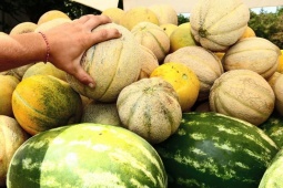 Tin tức sức khỏe - 7 Thực phẩm cực tốt cho người bàng quang yếu, tiểu đêm, tiểu són