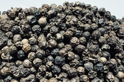 Việt Nam bán hơn 223.200 tấn ‘vàng đen’, tiền thu về cao kỷ lục