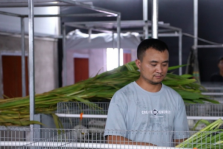 Loài chuột mở ra cơ hội làm giàu cho nhiều ngôi làng ở Trung Quốc