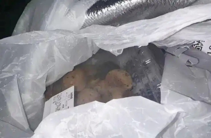 Sợ run người khi mua hộp bánh chứa chuột sống - 1