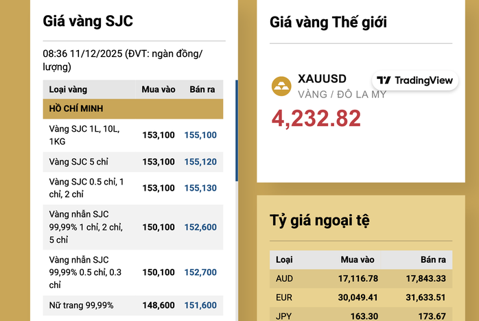 Sáng 11-12, giá vàng miếng SJC, vàng nhẫn tăng vọt - 2