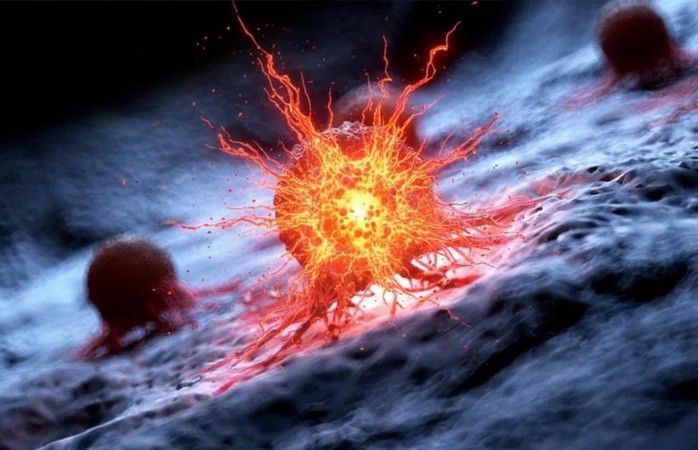 Tế bào ung thư - Ảnh minh họa: SCITECH DAILY