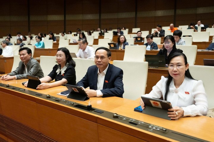 Các đại biểu tham dự phiên họp.