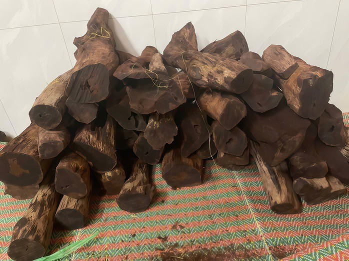 Kho gỗ mán đỉa của một thương lái người địa phương ở Quảng Trị