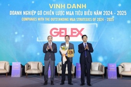 GELEX vinh dự là Doanh nghiệp có chiến lược M&A tiêu biểu 2024-2025