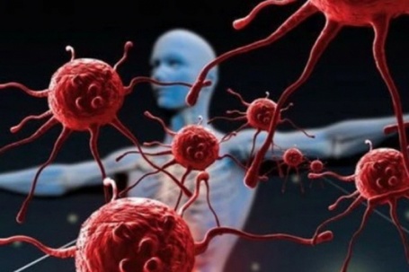 Tế bào ung thư 'sợ' nhất 4 việc này, người Việt cần làm tốt điều này...