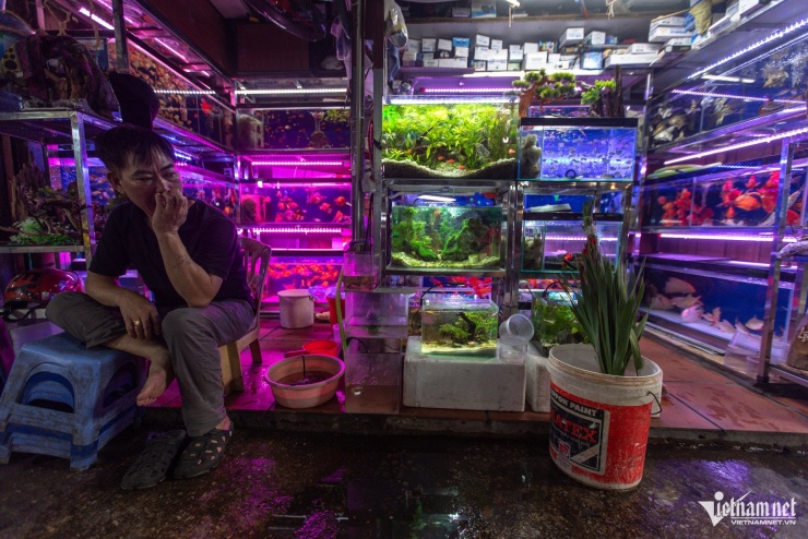 Các mặt hàng đồ khô, gia dụng, thời trang... còn đìu hiu hơn rất nhiều. Tiểu thương phải thường xuyên ngồi chơi chờ khách.