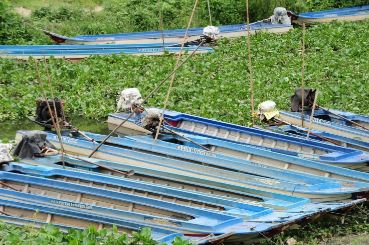 Phiên chợ độc lạ ở An Giang buôn bán 'thứ bỏ đi', nuôi sống bao phận người - 2