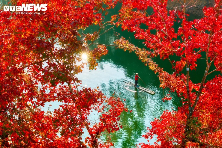 Hồ nhân tạo ở Cao Bằng rực rỡ như trời Âu mùa phong hương thay lá - 3