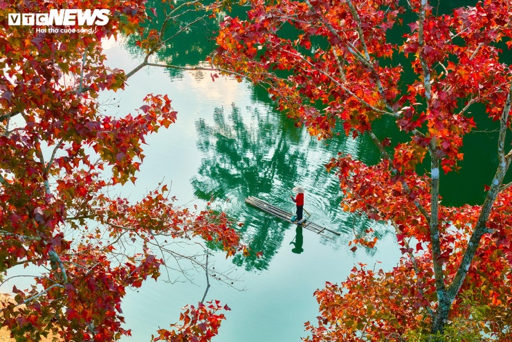 Hồ nhân tạo ở Cao Bằng rực rỡ như trời Âu mùa phong hương thay lá - 12