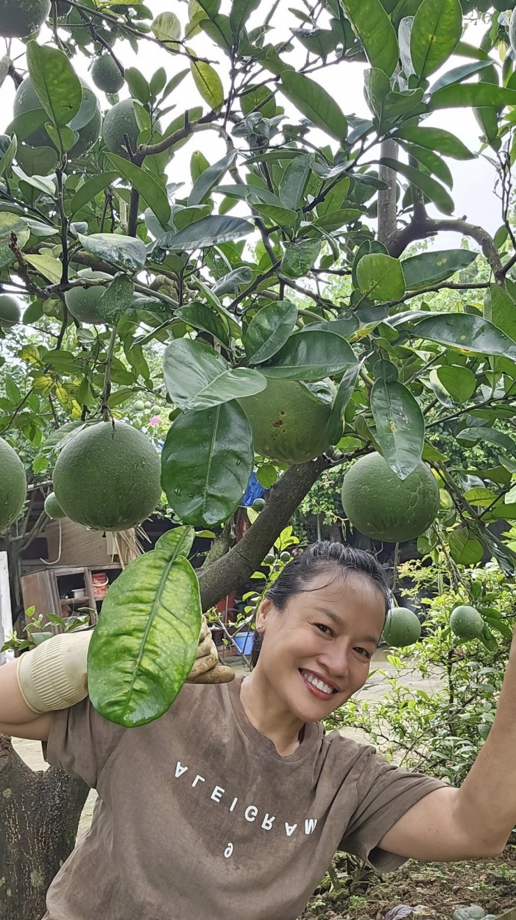 Vườn rau 3.500 m2 ven sông Hồng của diễn viên Tú Oanh - 6